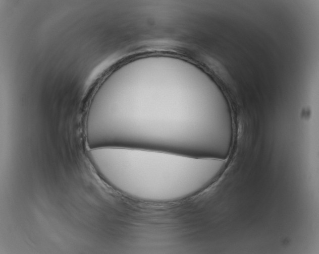 X0000112971164200908270936