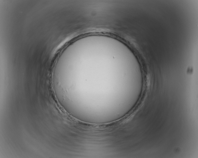 X0000112971165200908270936