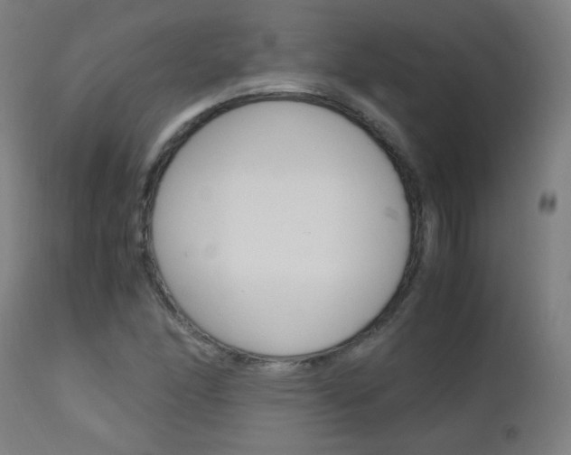X0000112971166200908270936