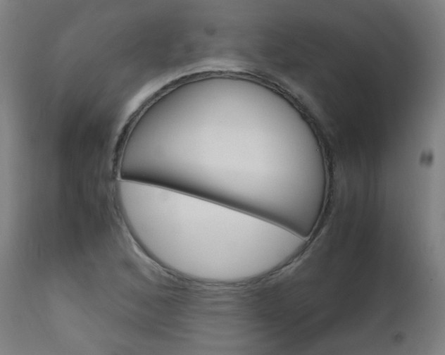 X0000112971168200908270936