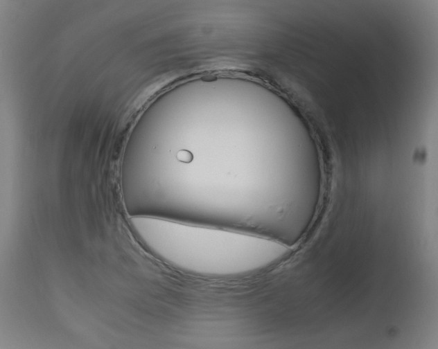 X0000112971169200908270936