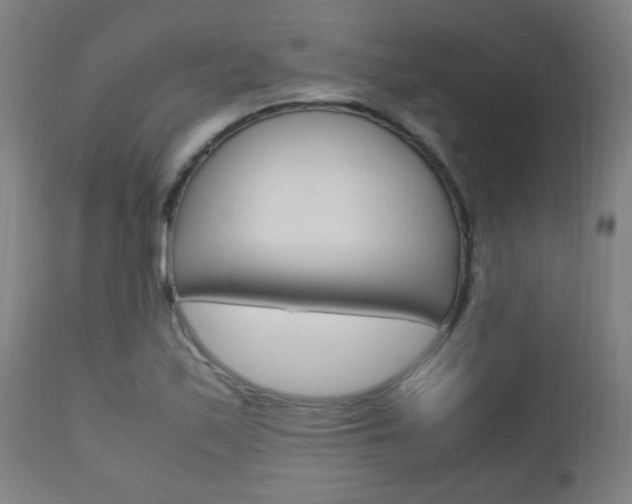 X0000112971171200908270936