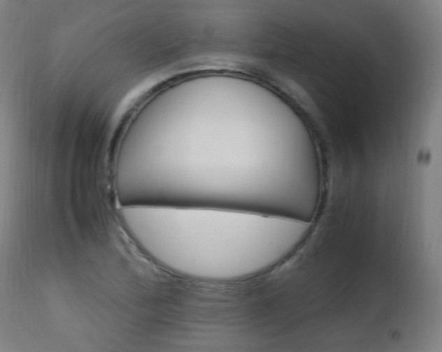 X0000112971172200908270936
