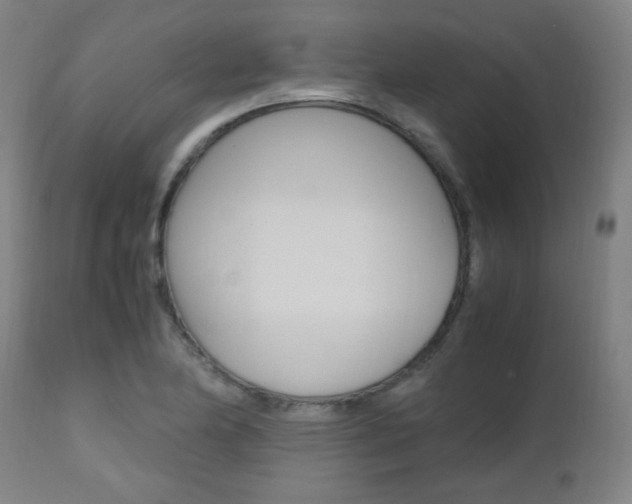 X0000112971174200908270936