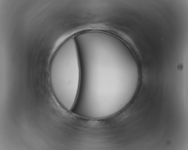 X0000112971176200908270936