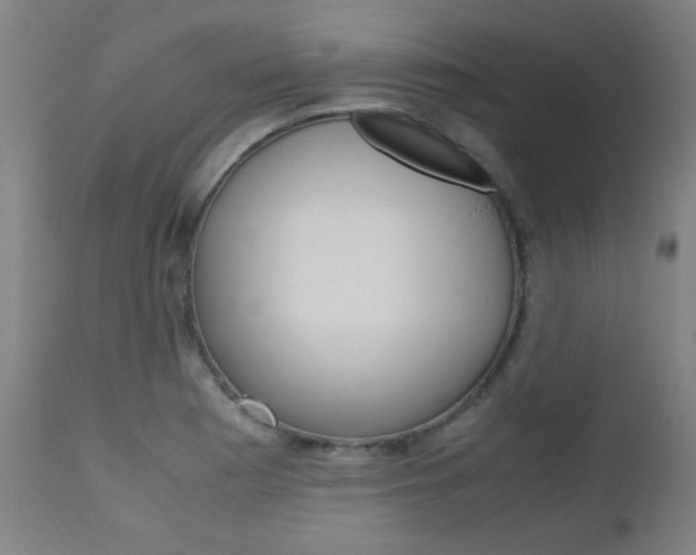 X0000112971177200908270936