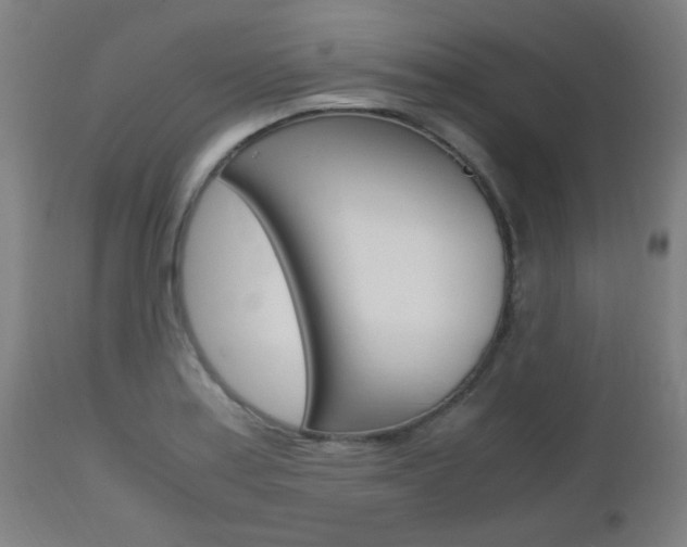 X0000112971179200908270936