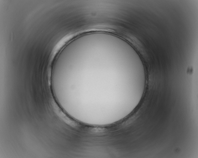 X0000112971180200908270936