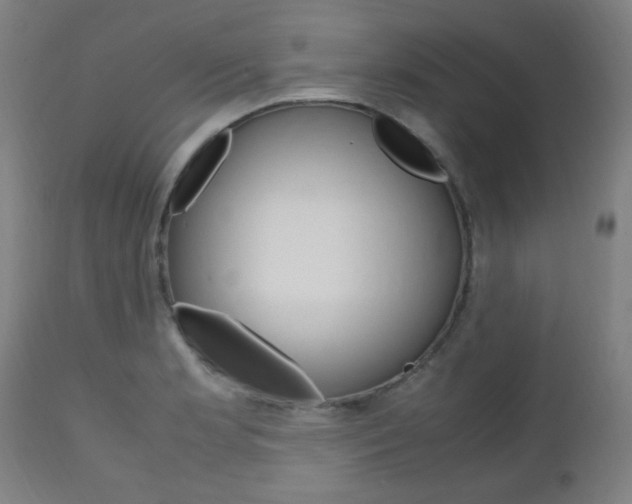 X0000112971181200908270936