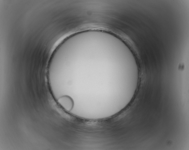 X0000112971182200908270936