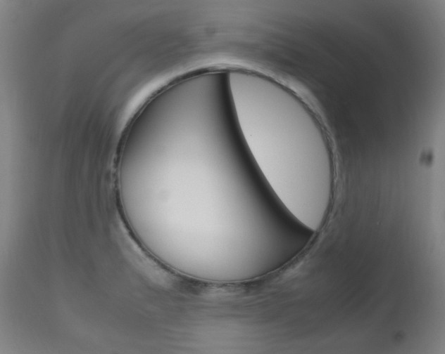 X0000112971183200908270936