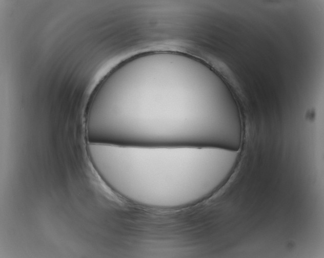 X0000112971184200908270936