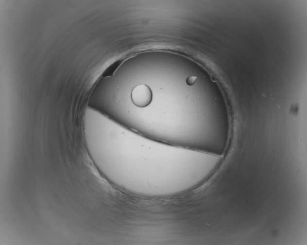 X0000112971185200908270936