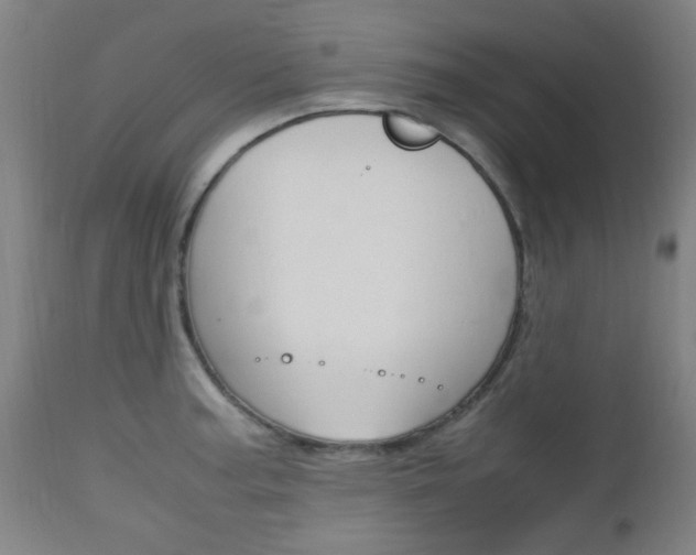 X0000112971187200908270936