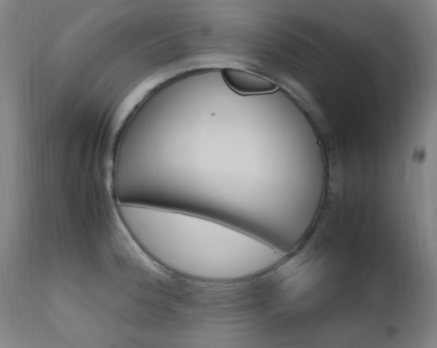 X0000112971188200908270936