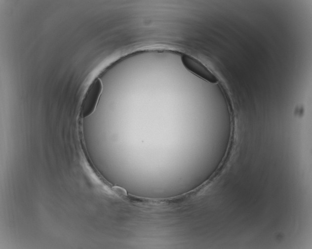 X0000112971189200908270936