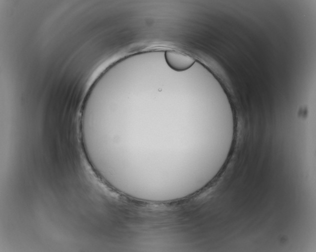 X0000112971190200908270936