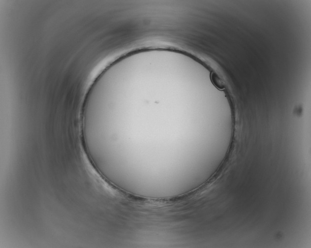 X0000112971191200908270936