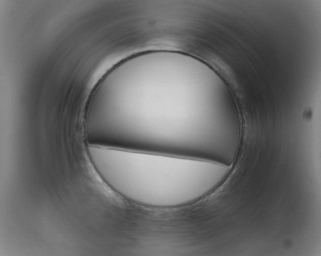 X0000112971192200908270936