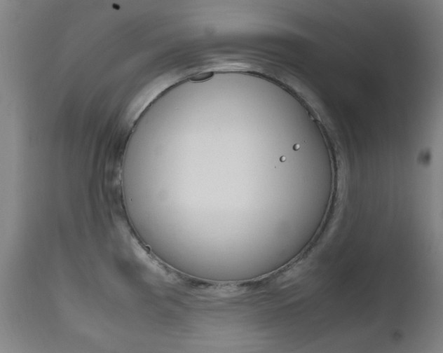 X0000112971193200908270936