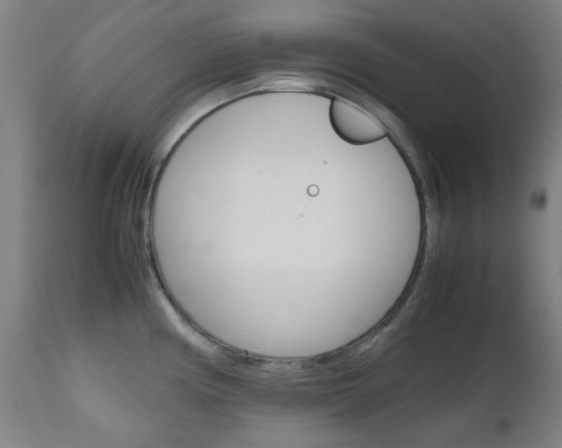 X0000112971194200908270936