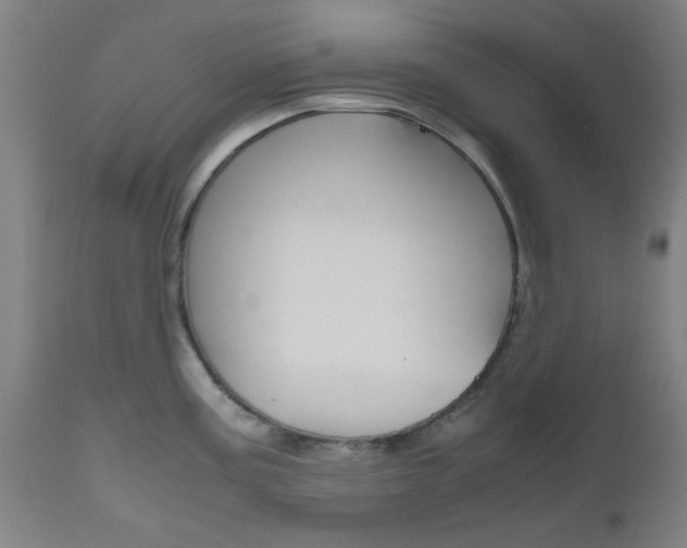 X0000112971195200908270936