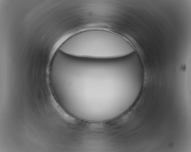 X0000112971196200908270936