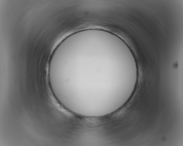 X0000112971198200908270935