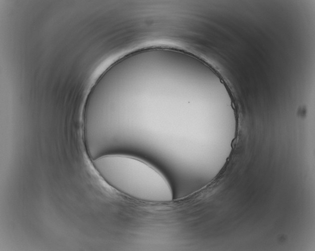 X0000112971199200908270935
