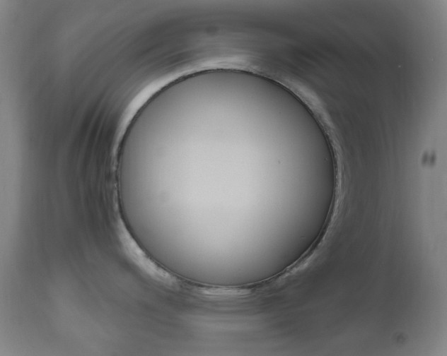 X0000112971200200908270935
