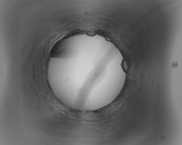 X0000112971201200908270935