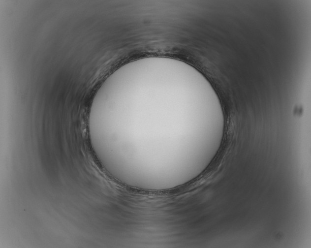 X0000112971202200908270935