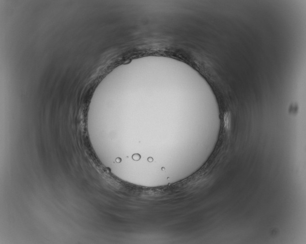 X0000112971203200908270935