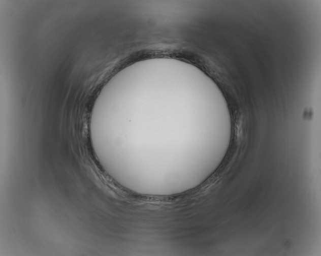 X0000112971204200908270935