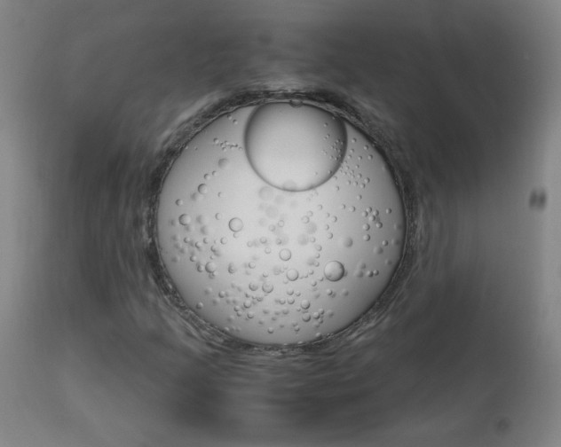 X0000112971205200908270935