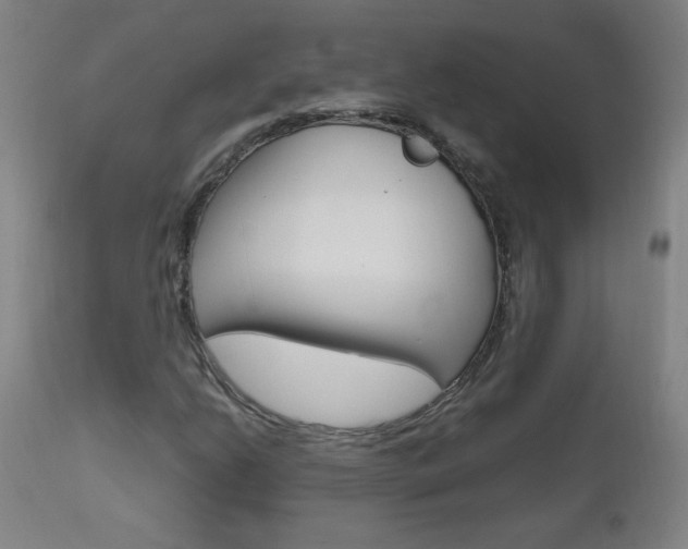 X0000112971206200908270935