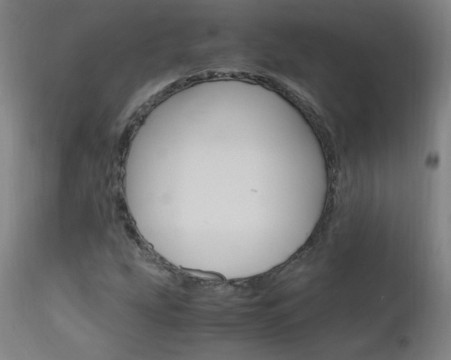 X0000112971207200908270935