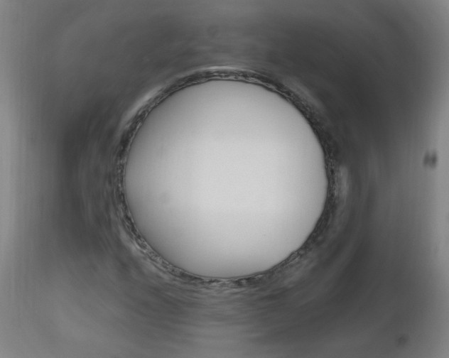 X0000112971208200908270935