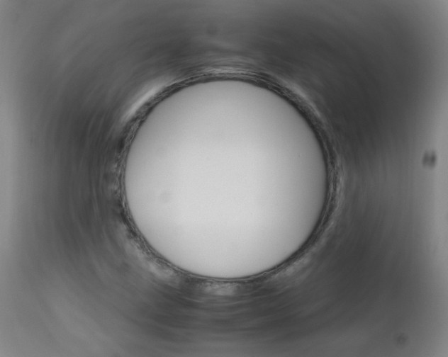 X0000112971211200908270935