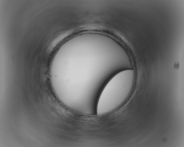 X0000112971213200908270935