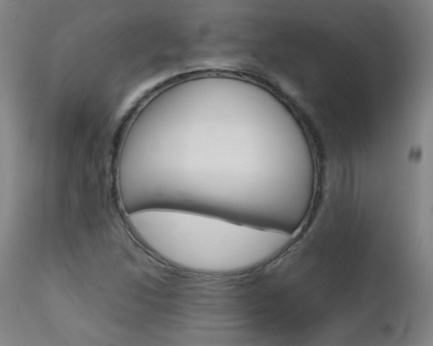 X0000112971214200908270935
