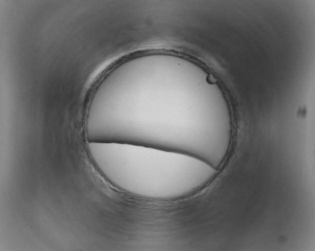 X0000112971216200908270935