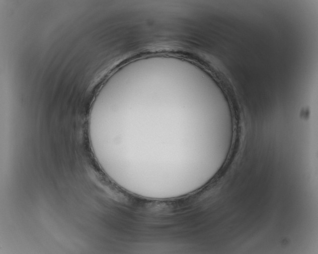 X0000112971217200908270935