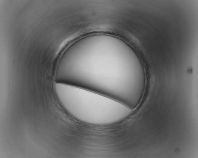 X0000112971218200908270935