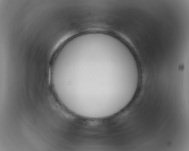 X0000112971219200908270935