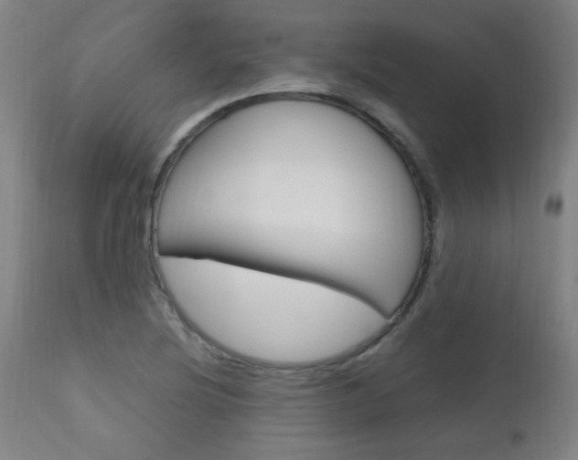 X0000112971220200908270935