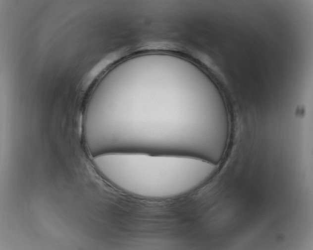 X0000112971221200908270935