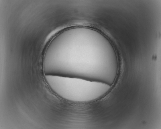 X0000112971222200908270935