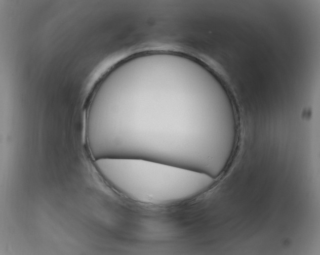 X0000112971223200908270935