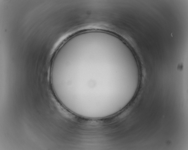 X0000112971224200908270935